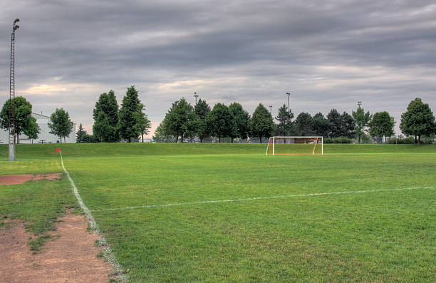 grey clouds and soccer field - fußball der ersten liga 個照片及圖片檔