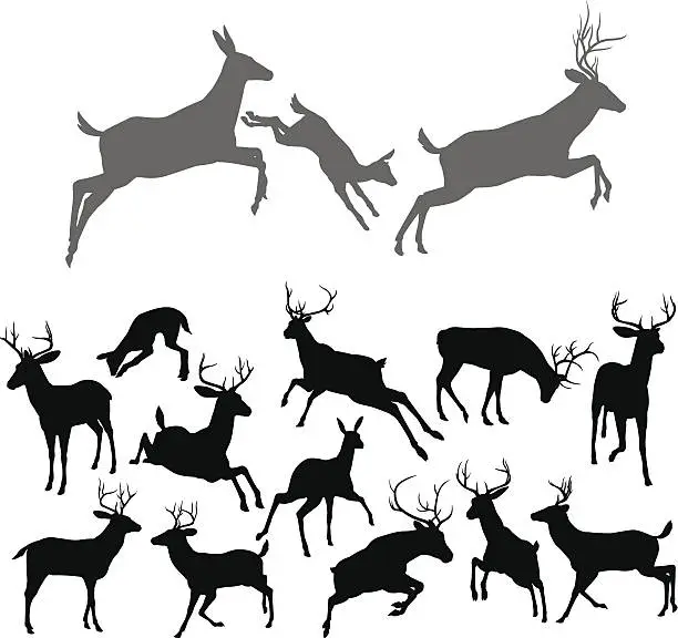 Vector illustration of Deer Silhouettes