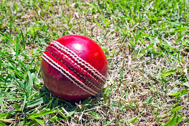 istock New Red Cricket Ball On Patchy Grass Lawn 451054071