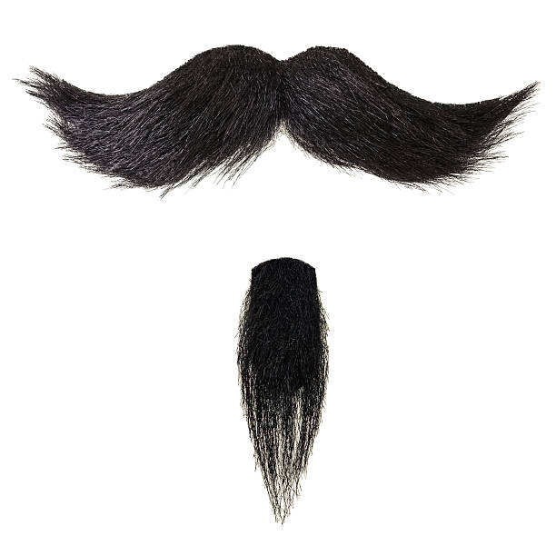 콧수염, 턱수염 흰색 바탕에 흰색 염소수염 - human hair curled up hair extension isolated 뉴스 사진 이미지