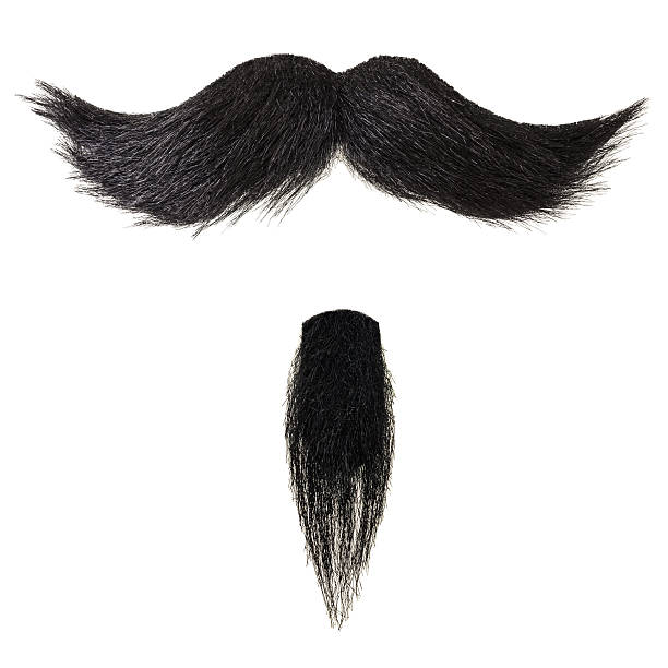 Mustache and goatee beard isolated on white Black curly mustache and goatee beard isolated on a white background moustache stock pictures, royalty-free photos & images