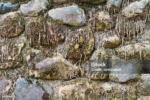 Dirty Stone Wall In Forest Stock Photo - Download Image Now - Abstract, Close-up, Color Image