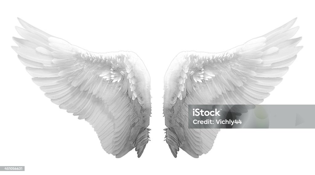 Feathered White Angel Wings On White Background Stock Photo - Download  Image Now - Animal Wing, Angel, Feather - iStock