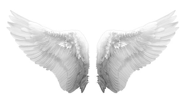Demon Wings Stock Photos, Pictures & Royalty-Free Images - iStock Demon Wings Stock Photos, Pictures & Royalty-Free Images - iStock