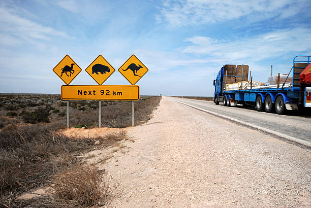 istock Road train on the Eyre Highway 451060781