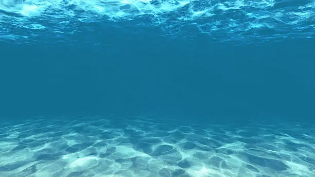 Photo of under water