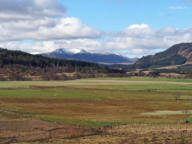 spey valley, a ovest di laggan, scozia in primavera - munros foto e immagini stock