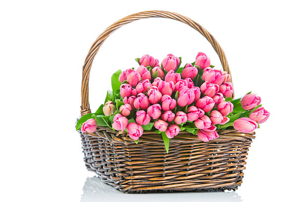 istock Fresh tulips in the wicker 451065437