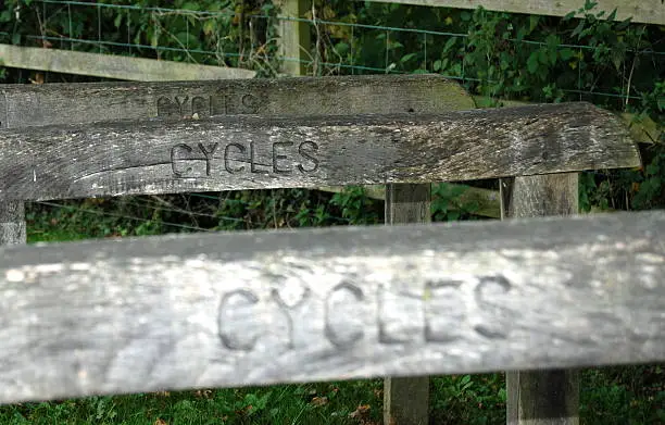 Environmentally friendly Cycle racks, blended with the local woodland scenery at Lower Brockhampton estate, Worcestershire, England