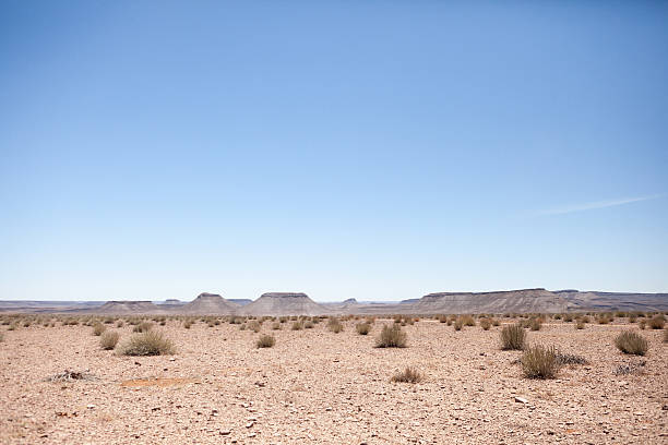 genérico escena del desierto con cielo azul - richtersveld national park fotografías e imágenes de stock