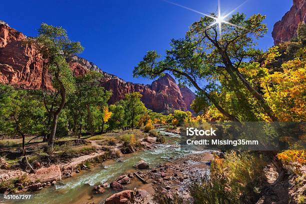 Fiume Virgin Parco Nazionale Di Zion - Fotografie stock e altre immagini di Acqua fluente - Acqua fluente, Affioramento, Albero