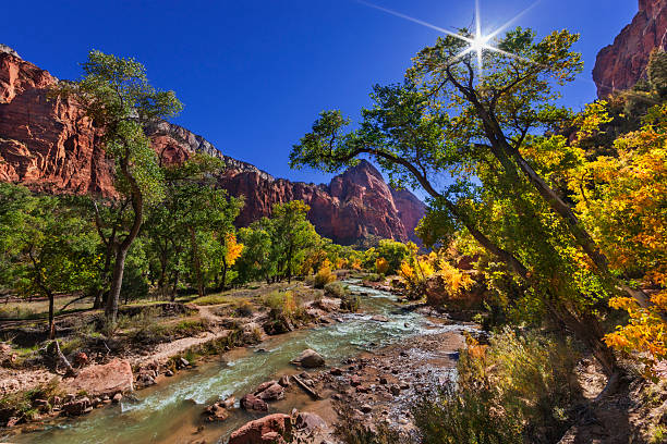 istock Virgin River, Zion National Park 451067297