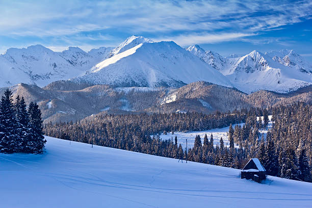 istock Winter morning in the Mountains 451067697