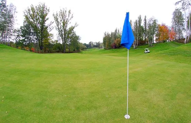 Golf course landscape with green and golf-cart car