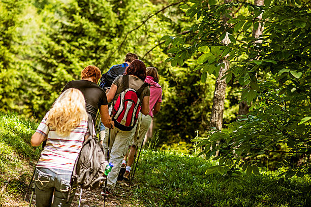 istock Nordic Walking in Nature 451070679