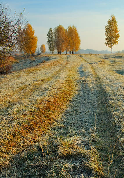 road - рассвет - fotografias e filmes do acervo