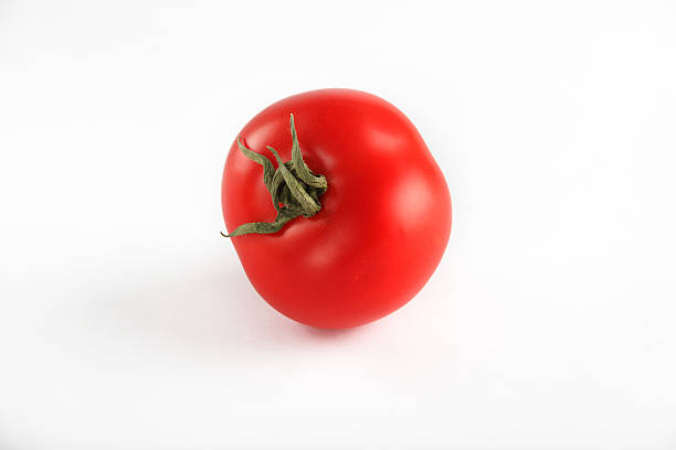 tomato stock photo