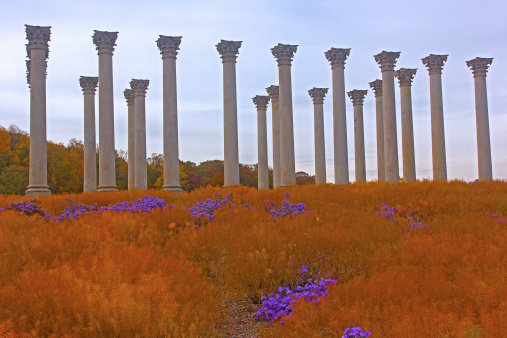 The Capitol Columns designed as Corinthian columns in the Ellipse Meadow at the National Arboretum, Washington DC.