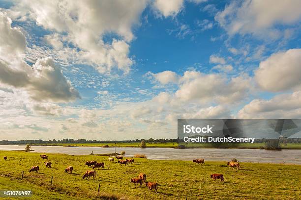 Farmland Alongside The Dutch River Ijssel Stock Photo - Download Image Now - Gelderland, Netherlands, Farm