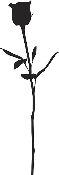 Vector illustration of Rose Silhouette