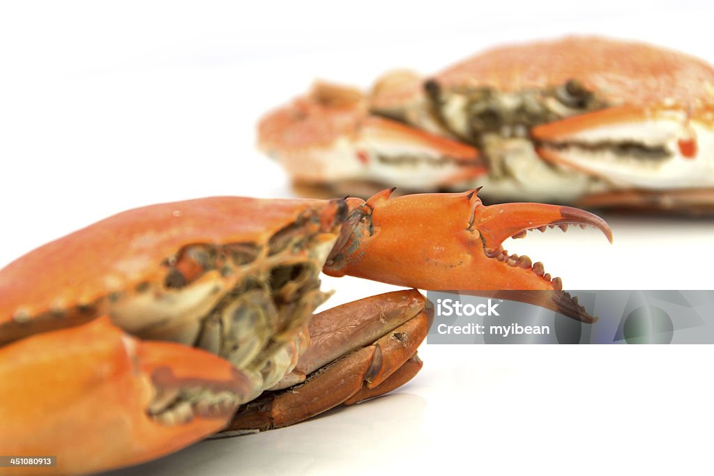 Crabes bouilli préparés - Photo de Aliment libre de droits