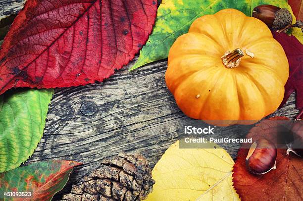 Осенний Рамка — стоковые фотографии и другие картинки Без людей - Без людей, Бутылочная тыква, Время года