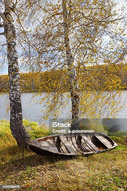 Herbst Flussufer Mit Alten Boot Stockfoto und mehr Bilder von Alt - Alt, Baum, Birke