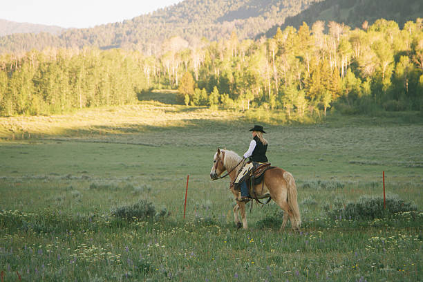 istock Cowgirl on horseback 451100759