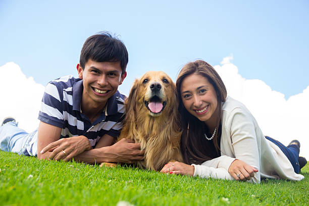 istock Lovely couple with their cute dog 451118907