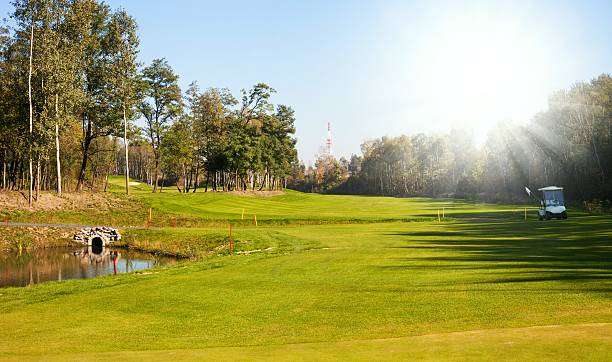 istock Autumn Golf course landscape view green field 451148595