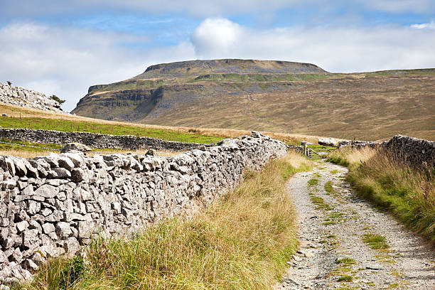 istock Ingleborough in the Yorkshire Dales 451148845