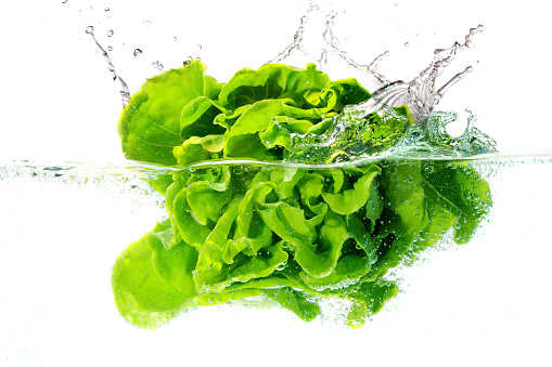 Fresh vegetable head falls under water with a splash. isolated on white background