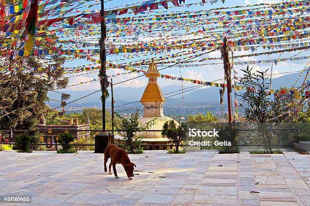 ヤードのスワヤンブナート猿寺院 - アジア大陸のストックフォトや画像を多数ご用意 - アジア大陸, カトマンズ, スピリチュアル