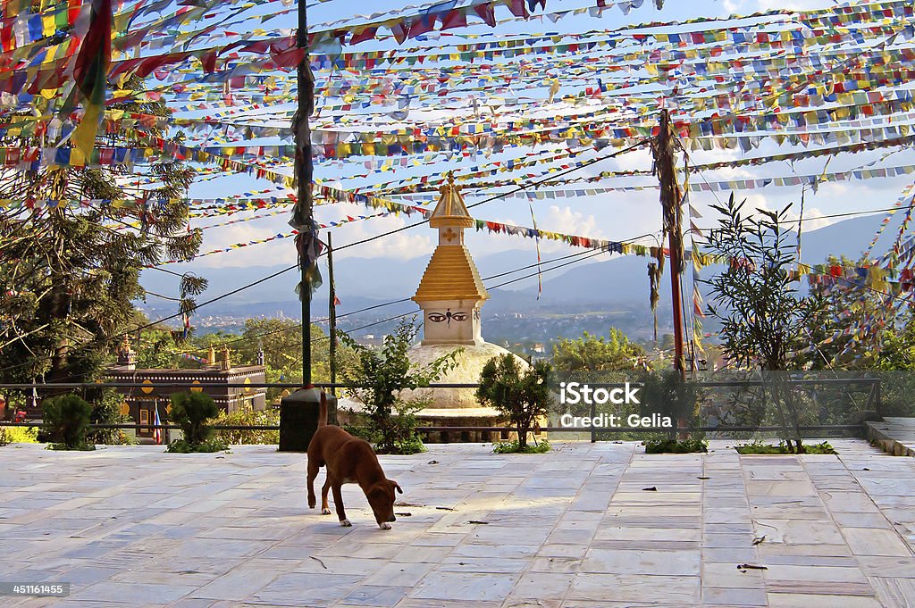Jardim do Macaco Templo Swayambhunath () - Foto de stock de Arcaico royalty-free
