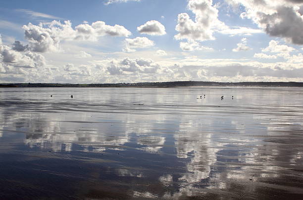 Cloud Patterns Reflected on Braunton Beach at Low Tide, Devon. Cloud and sky patterns reflected onto the wet sand of Braunton Beach at low tide with gulls and Westward Ho! In the distance; Braunton, Devon, UK. braunton stock pictures, royalty-free photos & images
