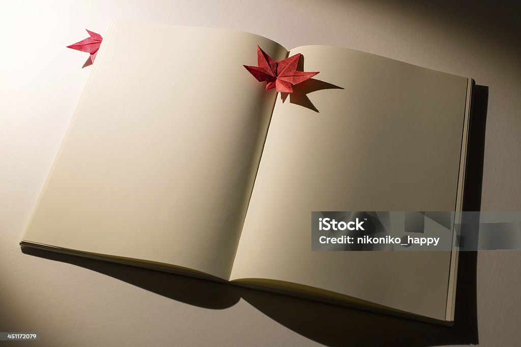 Reading at night of autumn Japanese maple is used instead of the bookmark. Art And Craft Stock Photo