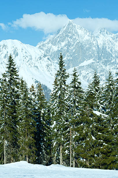 istock Winter mountain fir forest landscape 451173527