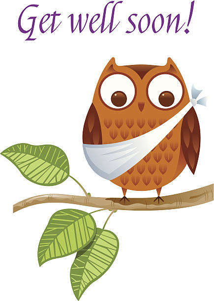 stockillustraties, clipart, cartoons en iconen met a get well soon card with an injured owl - beterschap