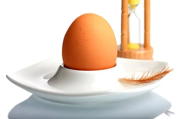 Brown egg in a Eggcup with Eggtimer and chicken down in front of white background