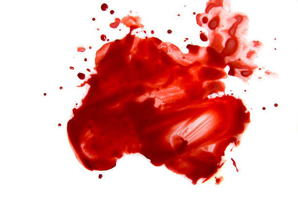 Blood smear splatter Blood smear droplets (stains, splatter) islated on white background close up spilling photos stock pictures, royalty-free photos & images