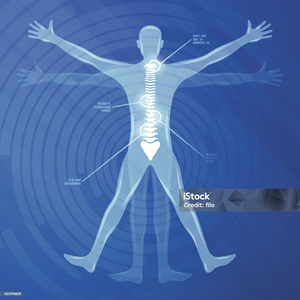 Позвоночник иллюстрация - Векторная графика Человеческое тело роялти-фри