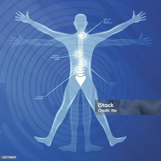 Позвоночник Иллюстрация — стоковая векторная графика и другие изображения на тему Человеческое тело - Человеческое тело, Боль, Здравоохранение и медицина