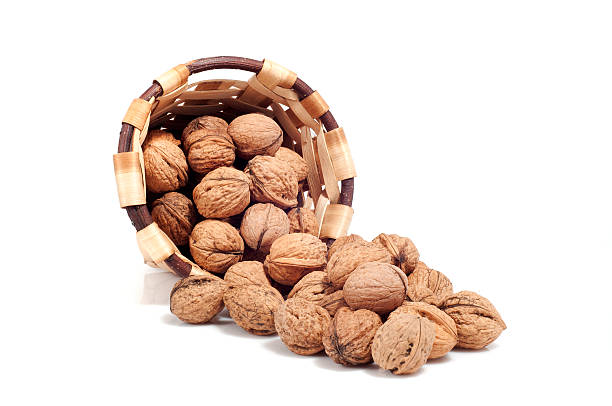 корзина орехи, осенний фрукты, изолированные на белом - chestnut basket large group of objects isolated стоковые фото и изображения