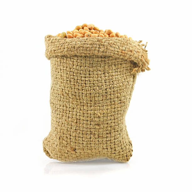 istock Soybean in hemp sacks isolated white background. 451194005