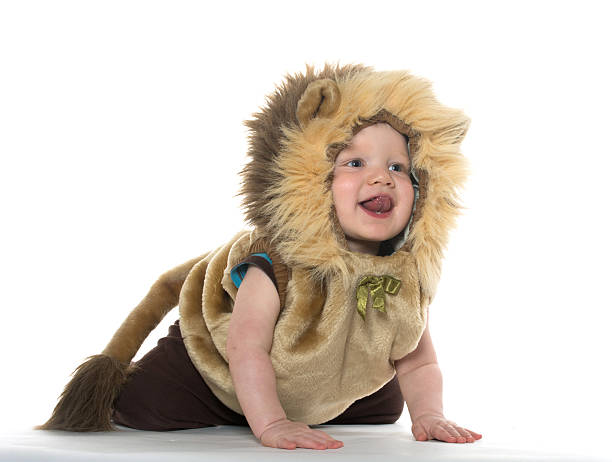 junge in lion costume - costume halloween lion baby stock-fotos und bilder