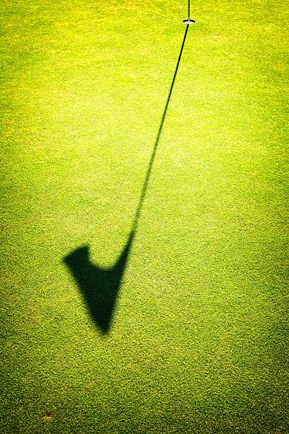 istock Green grass field of golf course background, cup and flag 451249067