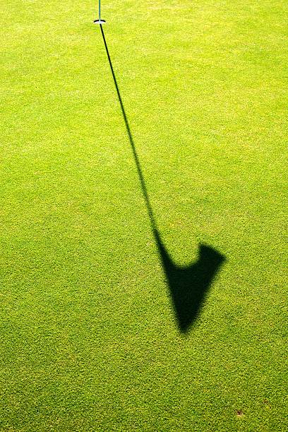 istock Green grass field of golf course background, cup and flag 451249129