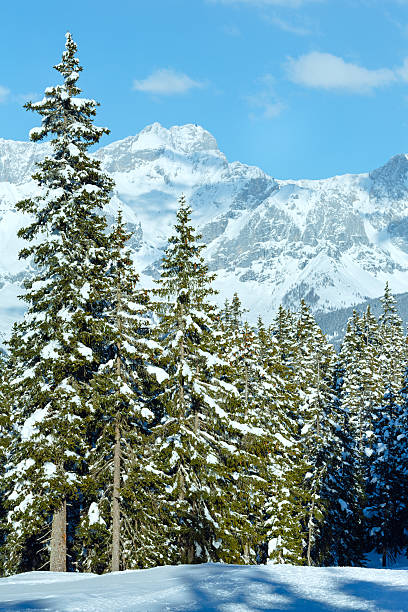 istock Winter mountain fir forest landscape 451252101
