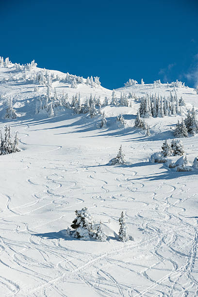 istock Winter Landscape with Snow and Trees 451257715