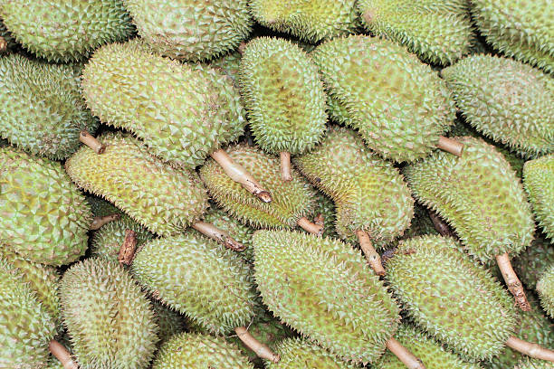 istock Durian,delicious famous fruit in Thailand 451274009